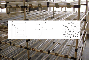 流利條貨架 流利條貨架